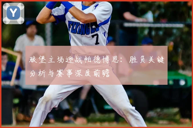 狼堡主场迎战帕德博恩：胜负关键分析与赛事深度前瞻